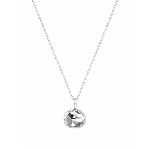 Verbex S925 Silver Necklace