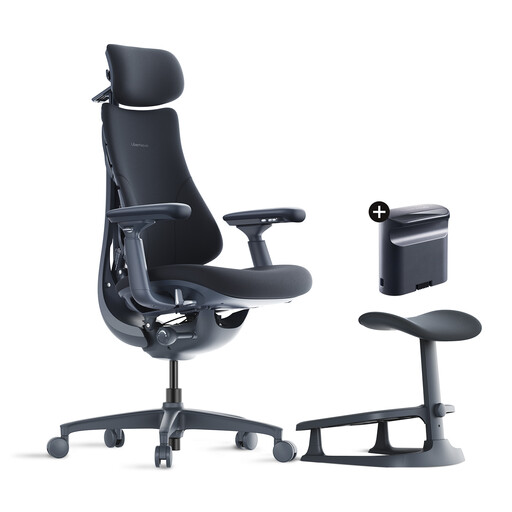 LiberNovo Ergonomic Office Chair with Footrest