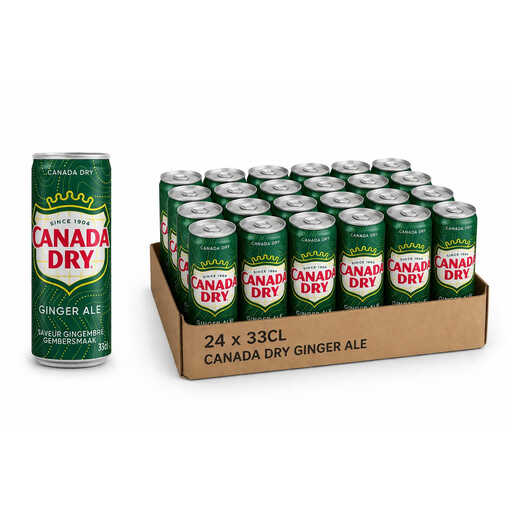 CANADA DRY Pack 24 x 33 cl