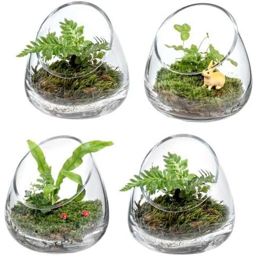 MyGift 12.7 cm Premium Clear Glass Air Plant Terrarium, Set of 4