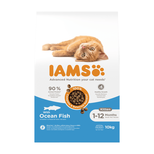 Iams cat kitten ocean fish 10kg