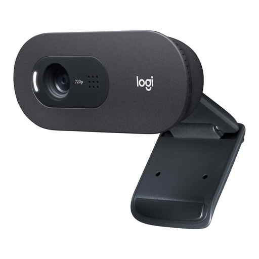Logitech C505 HD Webcam