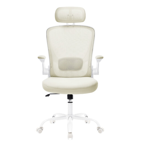 Ochama x SONGMICS Home Office Mesh Chair