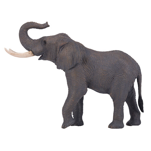 MOJO African Bull Elephant
