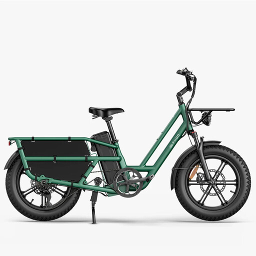 Fiido T2 (2025) All-Terrain Cargo E-Bike grün
