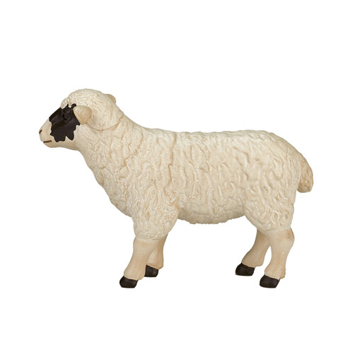 MOJO Black faced Sheep