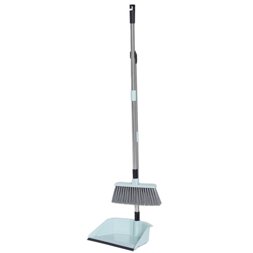 Dustpan and Brush Set with Long Handle
