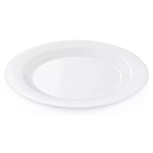 Set of 4 clear reusable plastic plates