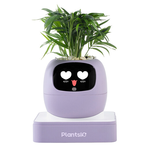 Ivy AI Smart Plant Pot Robot (Purple)