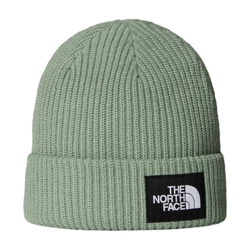 THE North Face Men Hats NF0A8CGZ Slate Moss UN