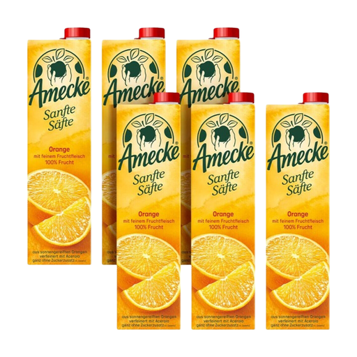 Amecke Orange-Citrus Fruchtsaft 6x1L