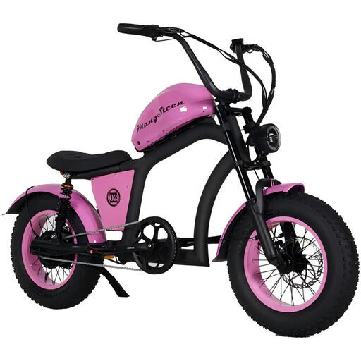 Mangosteen FT02 Mini E-Bike