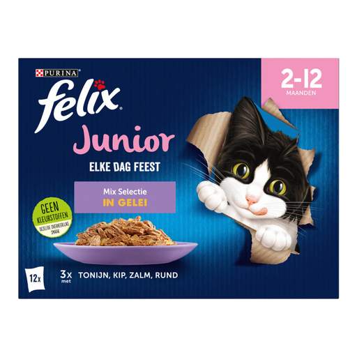 Felix 优质幼猫粮 混合口味 12×85g