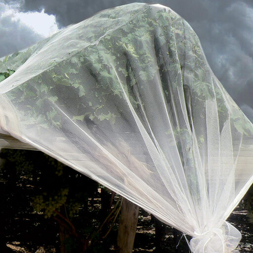 TENAX Iridium Anti-Hail Net - 4.00 x 5 m, Pearl White
