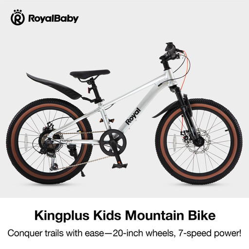 RoyalBaby Kids Bike Kingplus Silver 20 Inch