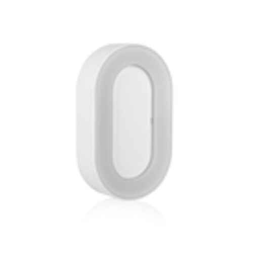 Outdoor Oval Light