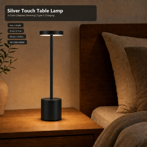 Cordless Iron & Acrylic LED Table Lamp