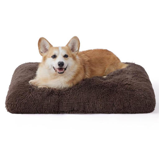 BEDSURE PetPad Solid Color Plush Dog Cage Pad, Coffee Brown, 74x53cm M