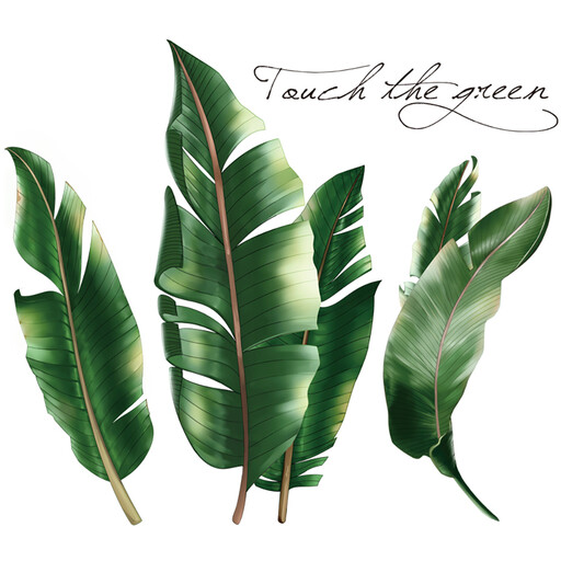 Stickers muraux amovibles en PVC avec feuilles tropicales assorties