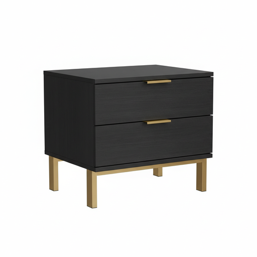 Caldion Modern Black Nightstand with 2 Drawers