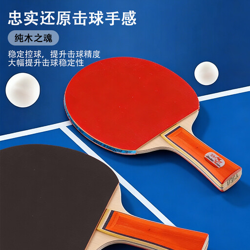 Double Fish 036A Beginner Training Table Tennis Racket Double Paddle Set with 3 Balls