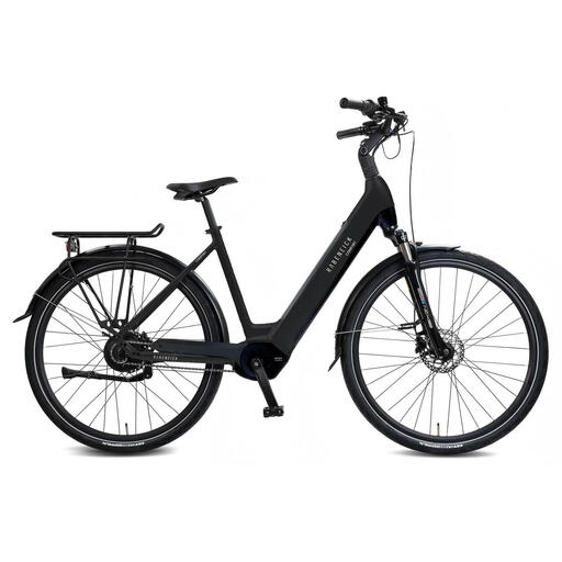Rabeneick Comfort E-Bike Wave 51