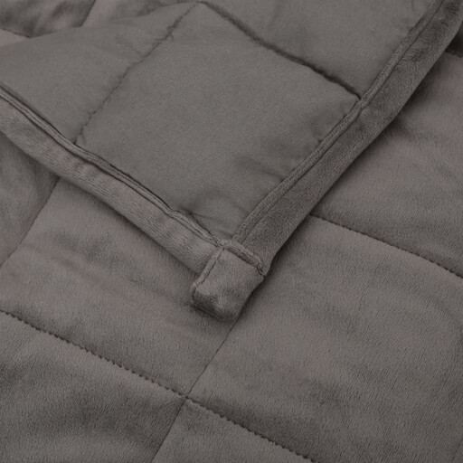 VidaXL Weighted Blanket