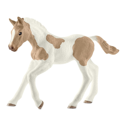 Figurine de jeu poulain Paint Horse Schleich Horse Club