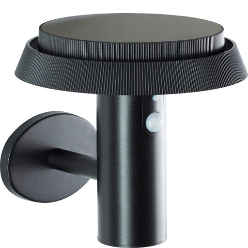 Brilliant Led Outdoor Wall Light, Solar, Motion Detector, 21 Cm, 500 Lm, 3000 K