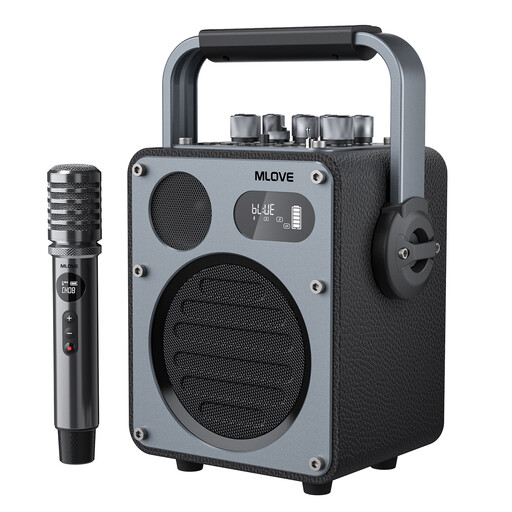 Mlove Rangers D4 Bluetooth Karaoke Speaker System