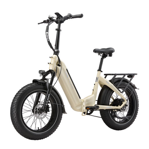 F6Boost Electric bike for adults 250W motor