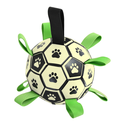 Blinkit Glow-in-the-Dark Pet Interactive Soccer Ball Toy