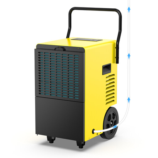 DAHTEC Professional 50 L/d dehumidifier with condensate pump