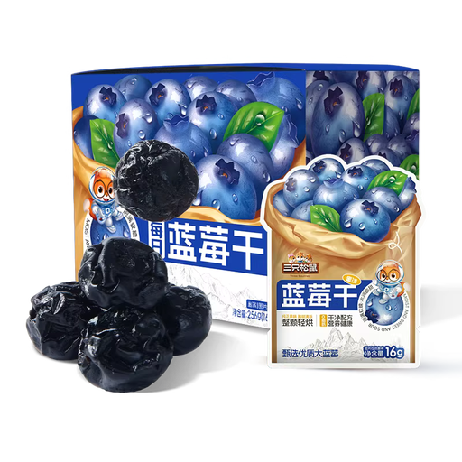Three Squirrels Daily Blueberry Dried Snack, 256g multipack