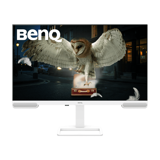 BenQ EW3290U 31.2" 4K UHD Monitor