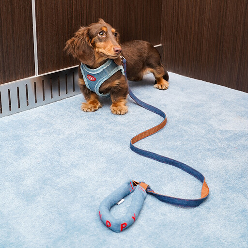ZEZE Denim Pet Harness & Leash Set