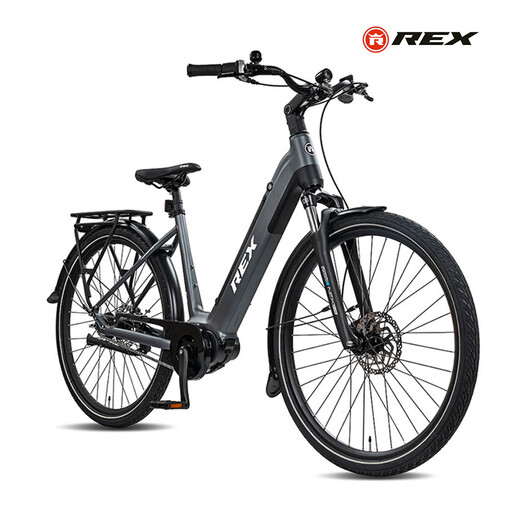 Rex Commuter+ E-Bike Wave 48