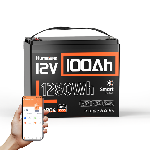 Humsienk 12V 100Ah Group 24 LiFePO4 Battery