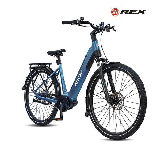Rex Commuter+ E-Bike Wave 48 grey