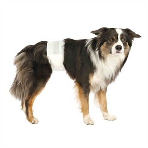 TRIXIE Male Dog Diapers XS 12 pcs