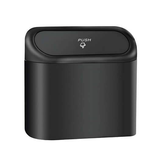 Car bin with lid