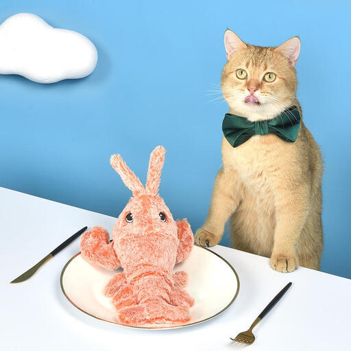 Petgravity Interactive Lobster