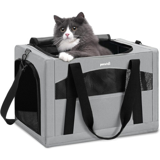pecute Built-in Frame Series Daily Pet Handbag