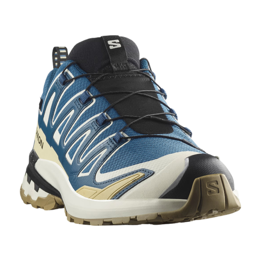 Salomon XA Pro 3D v9 GTX in blue