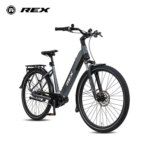 Rex Commuter+ E-Bike Wave 48 blue