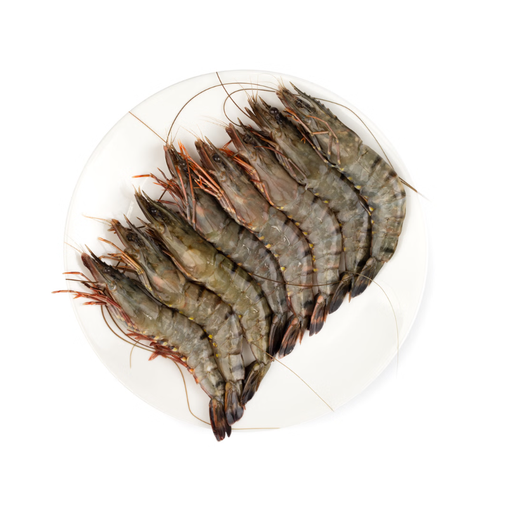 BML Food Group Ben's Black Tiger Shrimp 6/8 (Head On Shell On) 800g