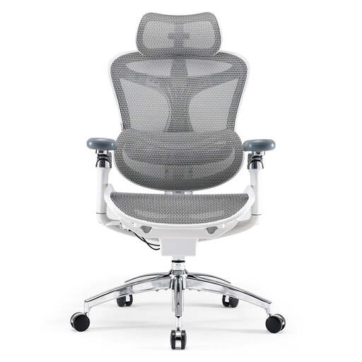 SIHOO Doro C300 Pro Ergonomic Office Chair