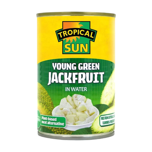 TROPICAL SUN Green Jackfruit In Water 400g