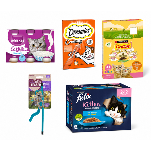 Welcome Home Kitten Bundle