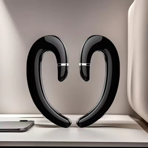 VoxorAI C6 Black Dual-Ear Hook Earphones
